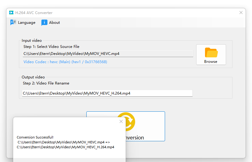 H.264 AVC Converter-Video Codec