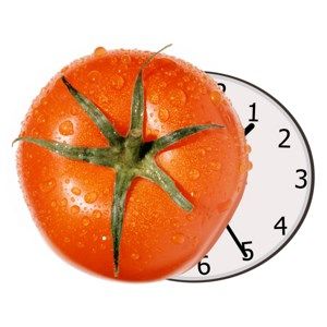 Pomodoro Study Timer