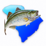 Fishin Pal South Carolina