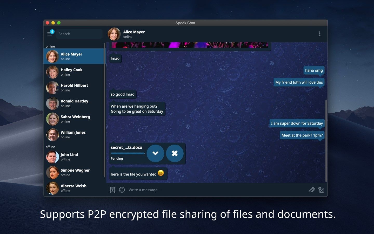 Supports P2P encrypted file sharing