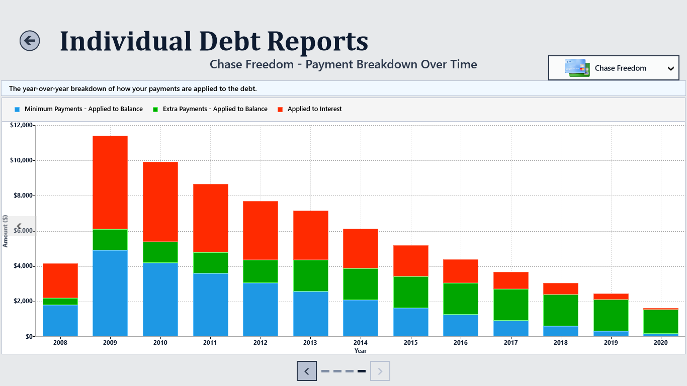 Year-Over-Year Payment Breakdown for an Individual Debt