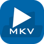 MKV to MP4 - MKV to