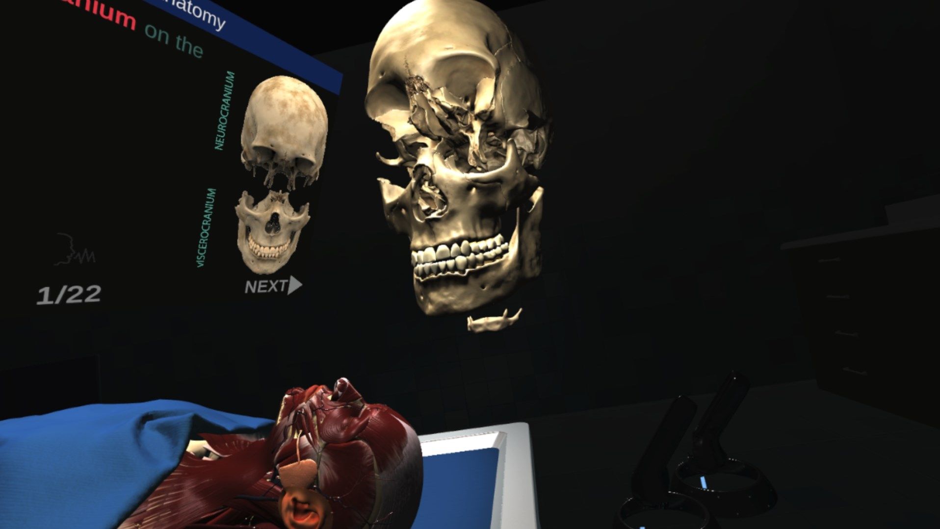 Anatomy Labs VR