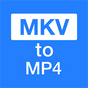 MKV to MP4 Converter...