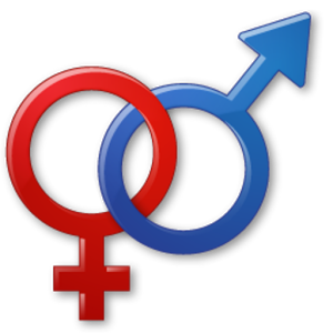 Masturbation Calculator