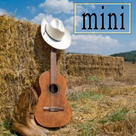 Country Music Radio Mini