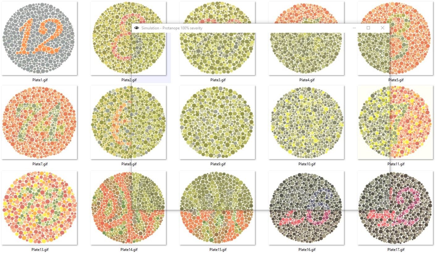 The Ishihara colour plates as seen by a dichromat
