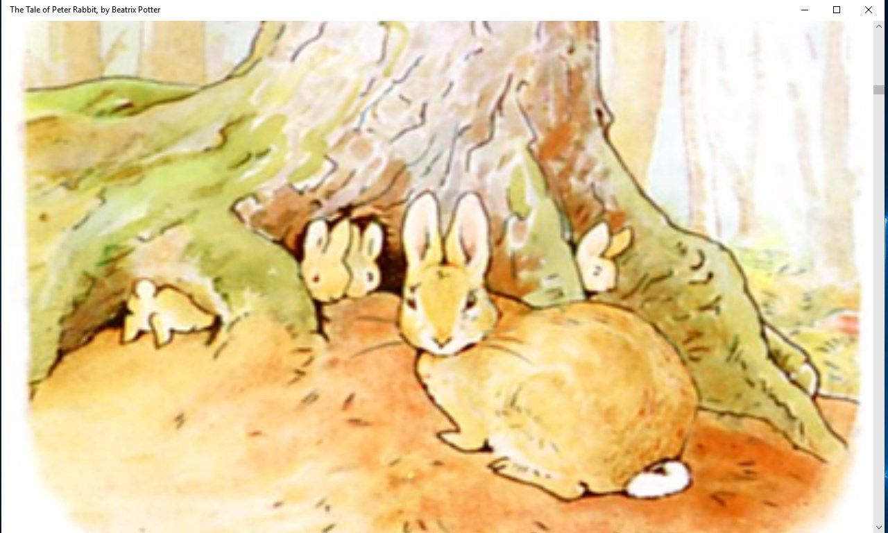 The Tale of Peter Rabbit, by Beatrix Potter