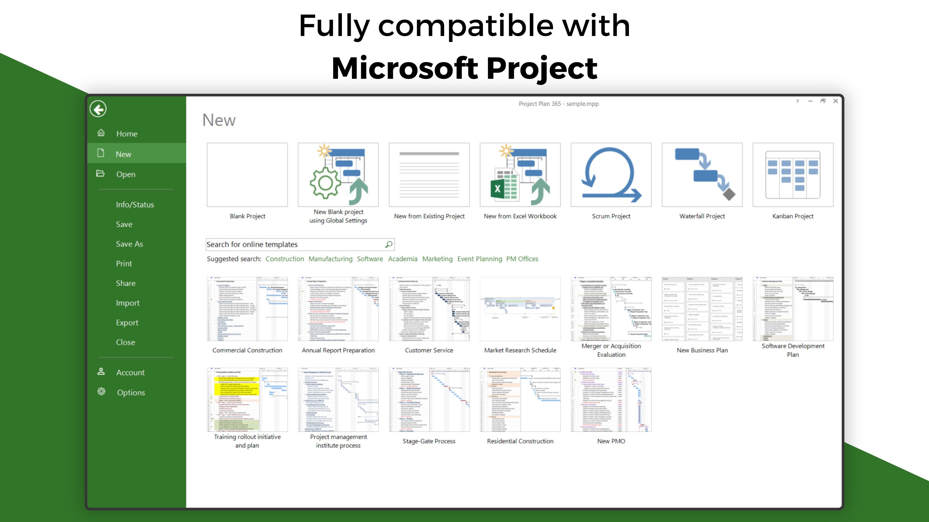 Microsoft Project compatibility