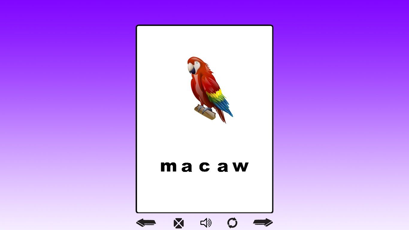 Card: macaw