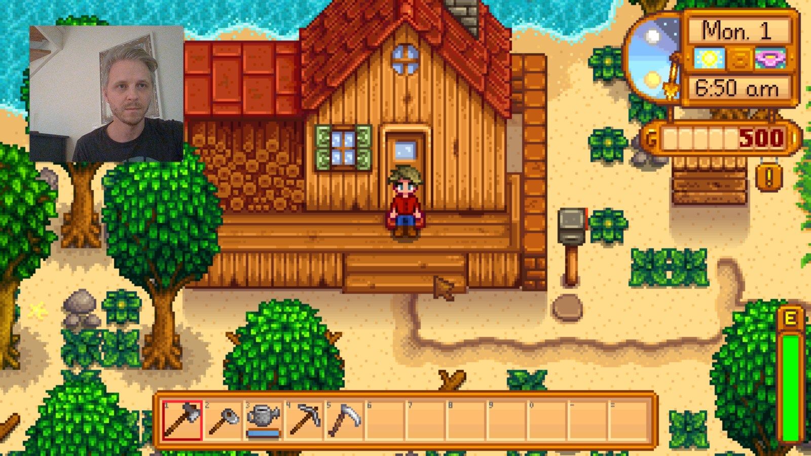 Show the webcam over video games, as in this example from the game Stardew Valley.