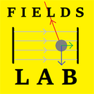 Fields Lab
