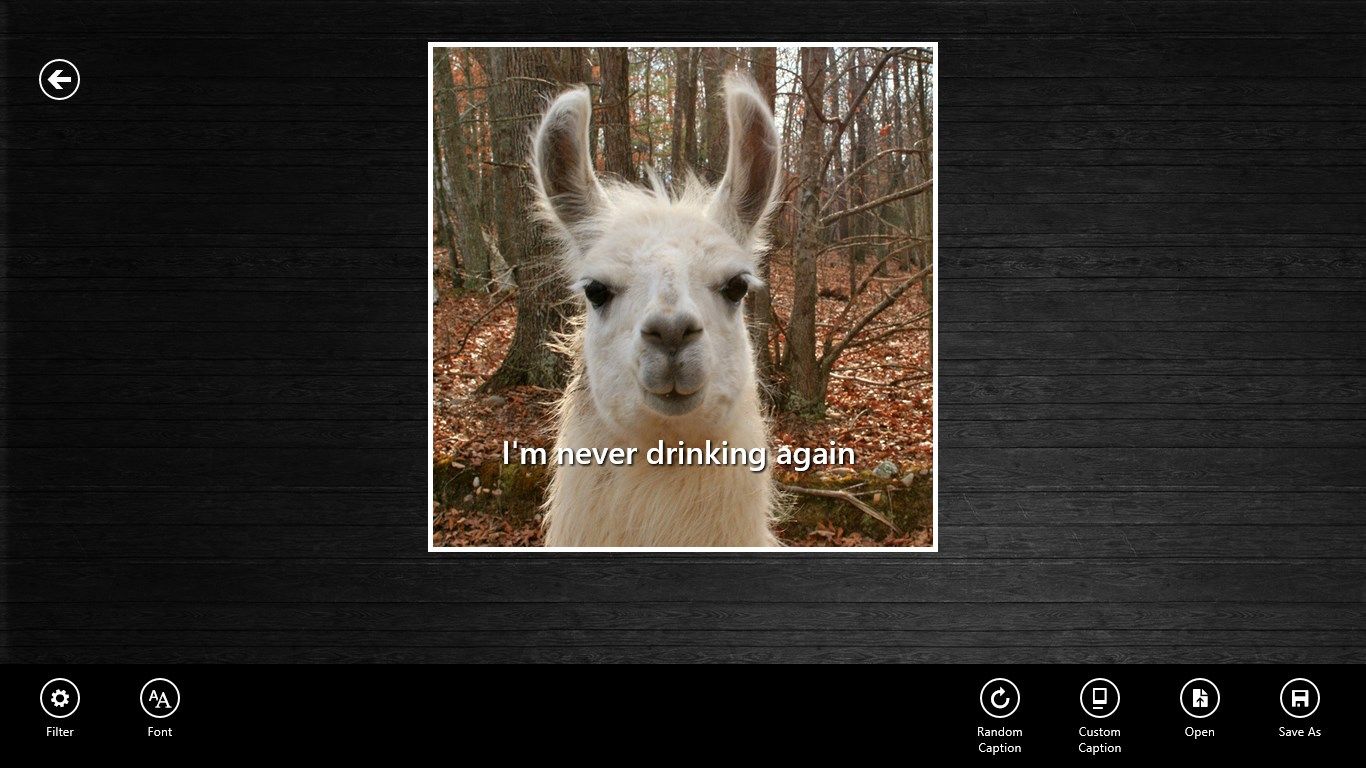 Add hilarious captions to your photos