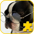 Fancy Jigsaw: Pet Dog