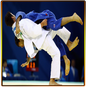 Rules of Judo