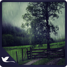 Virtual Rain Drops - Calm Rain Ambience
