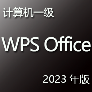 计算机一级 WPS Office 应用