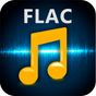 Flac Converter.