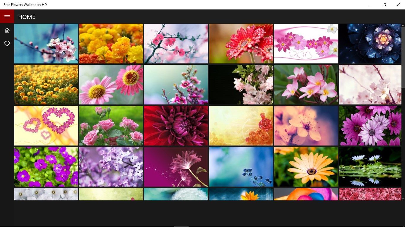 Free Flowers Wallpapers HD
