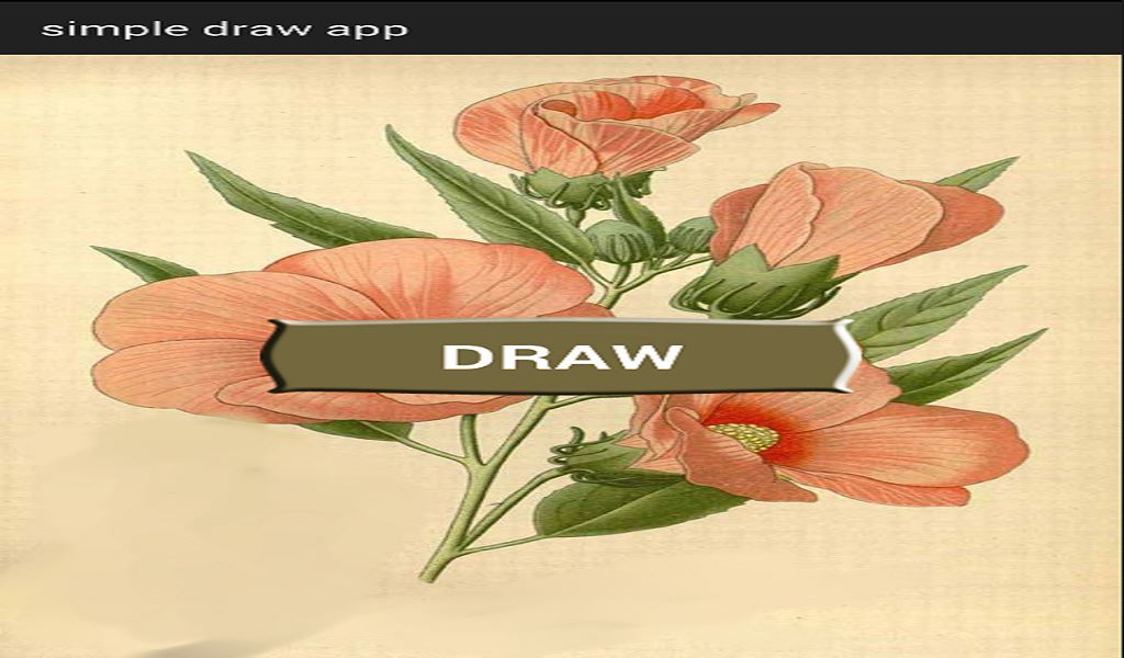 simple draw app