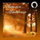 Autumn Ambience In HD