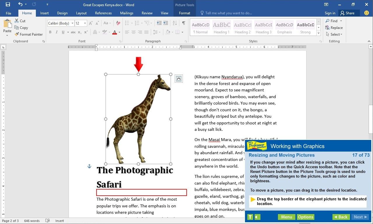 Explore all of the features of Microsoft Word 2019 including working with graphics!