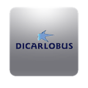DicarloBus