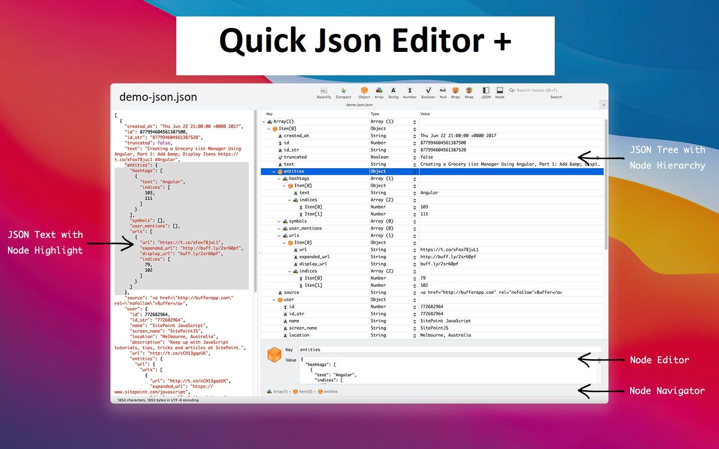 Quick Json Editor +
