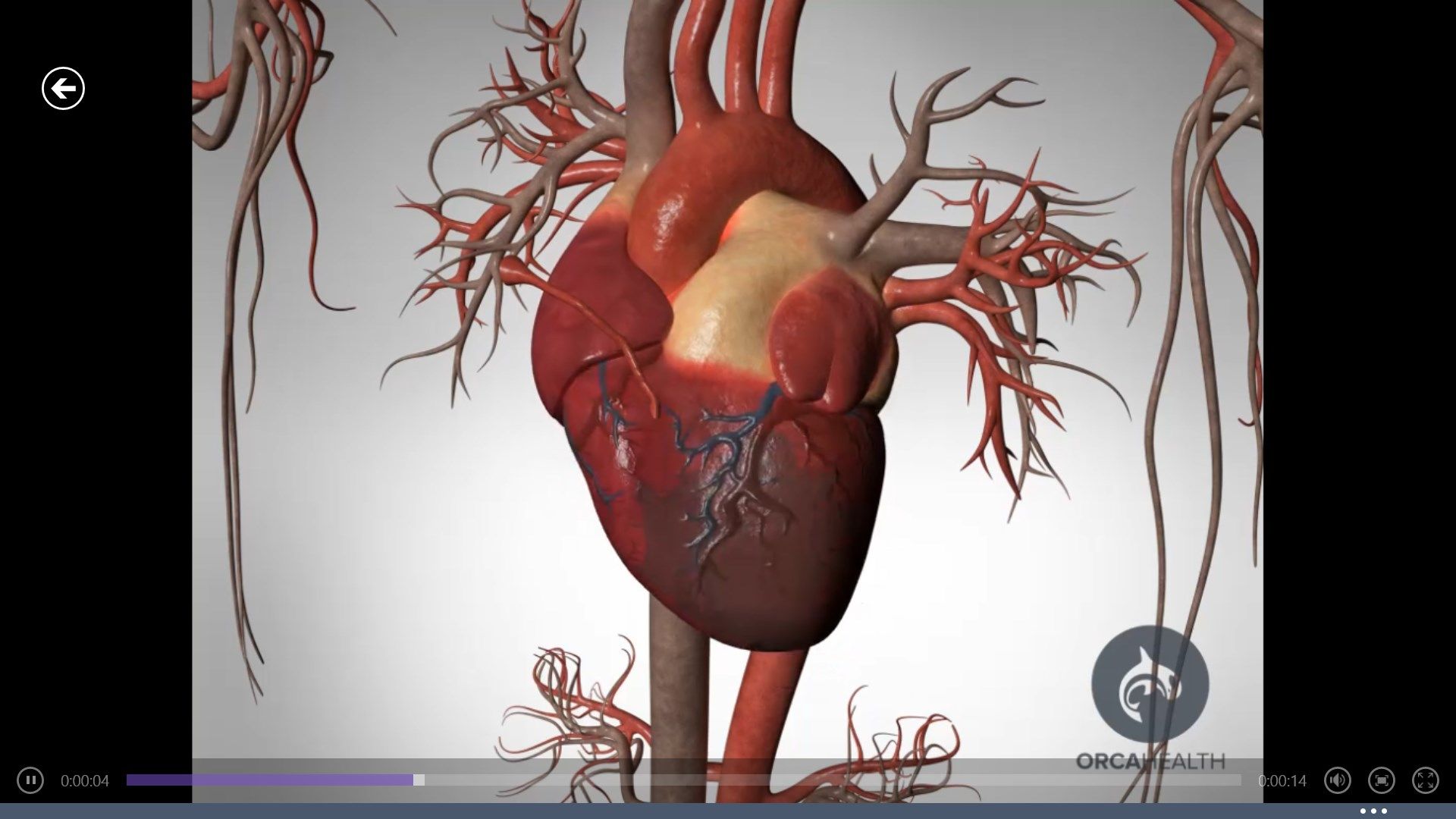 Beautiful videos illustrating common conditions and procedures