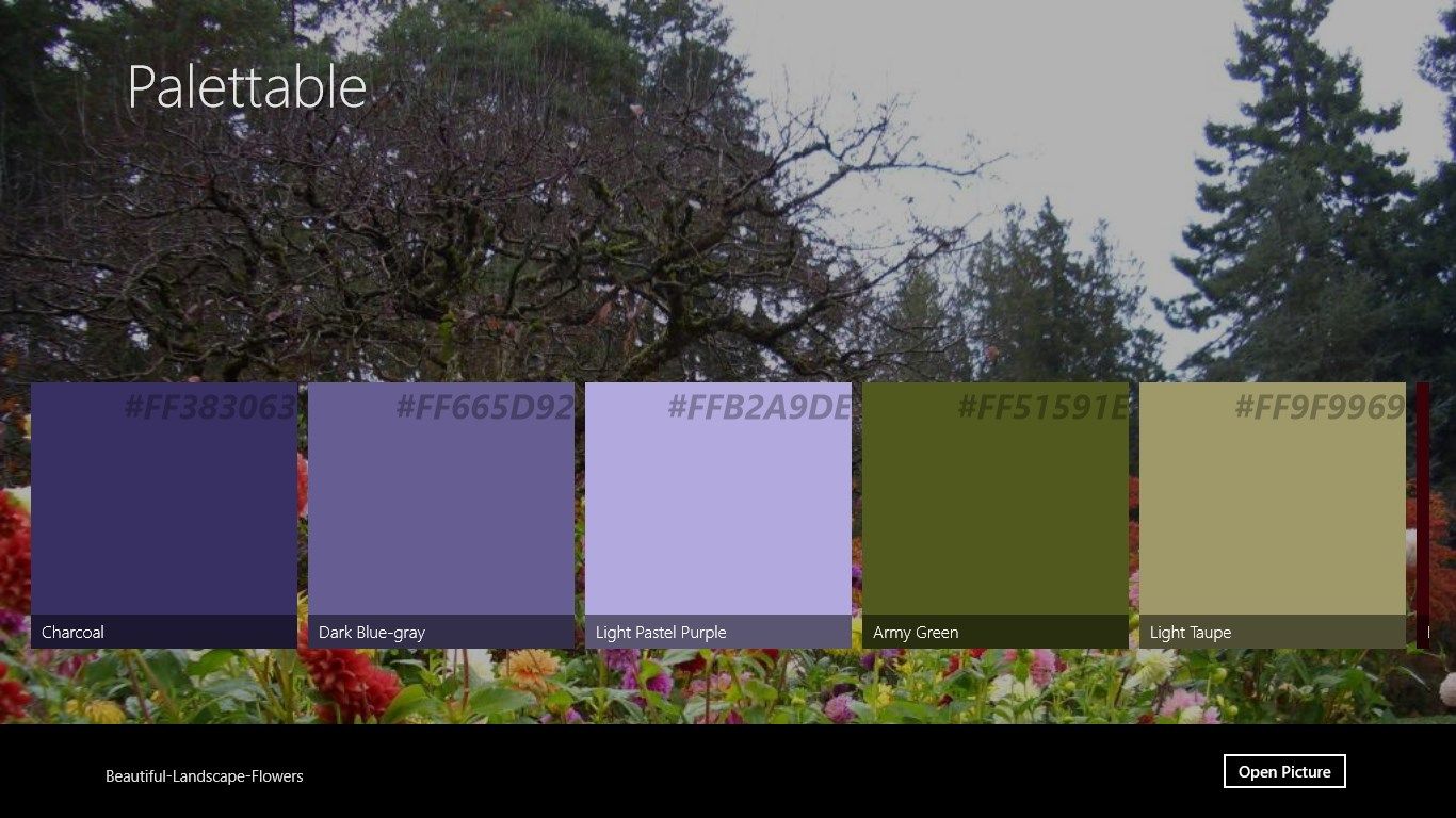 Color Palette in landscape mode.