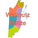 WallNutz Belize