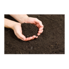 Soil Classification