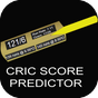 Cric Score Predictor