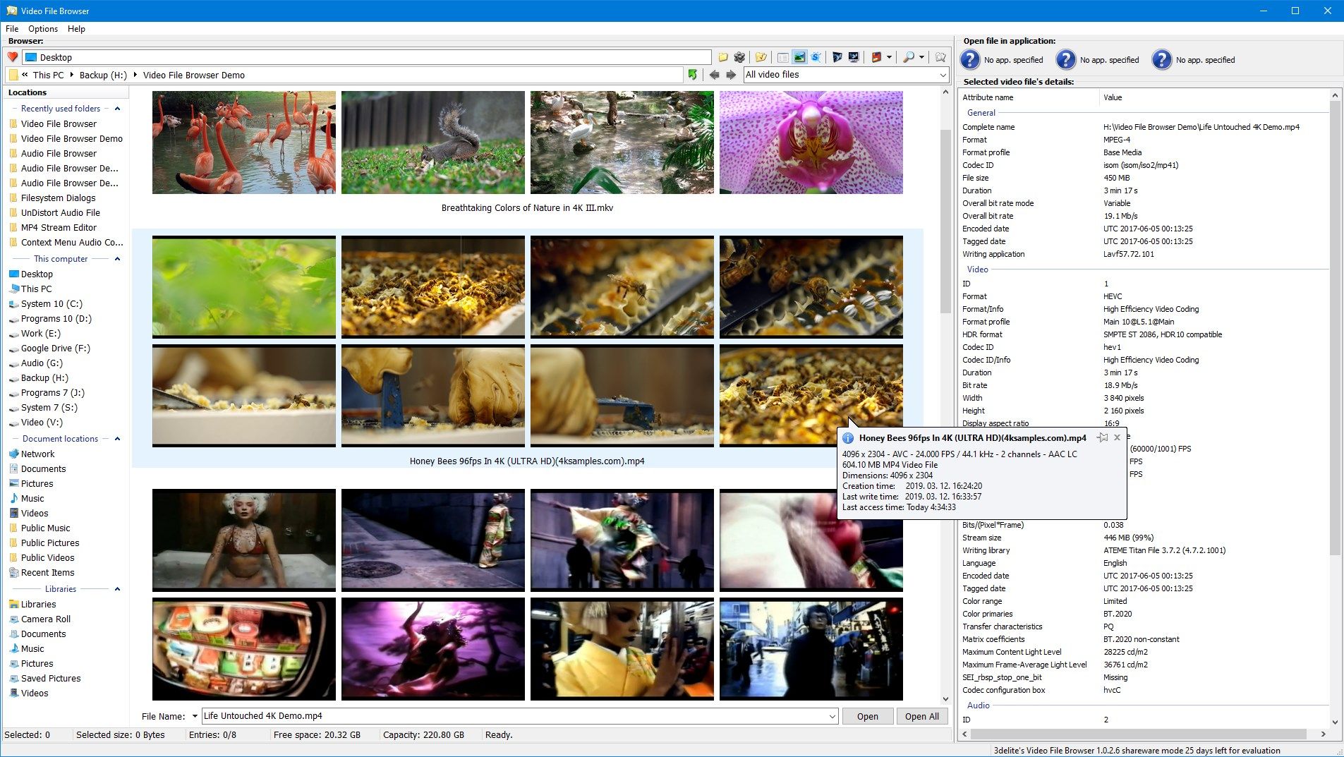 Video File Browser