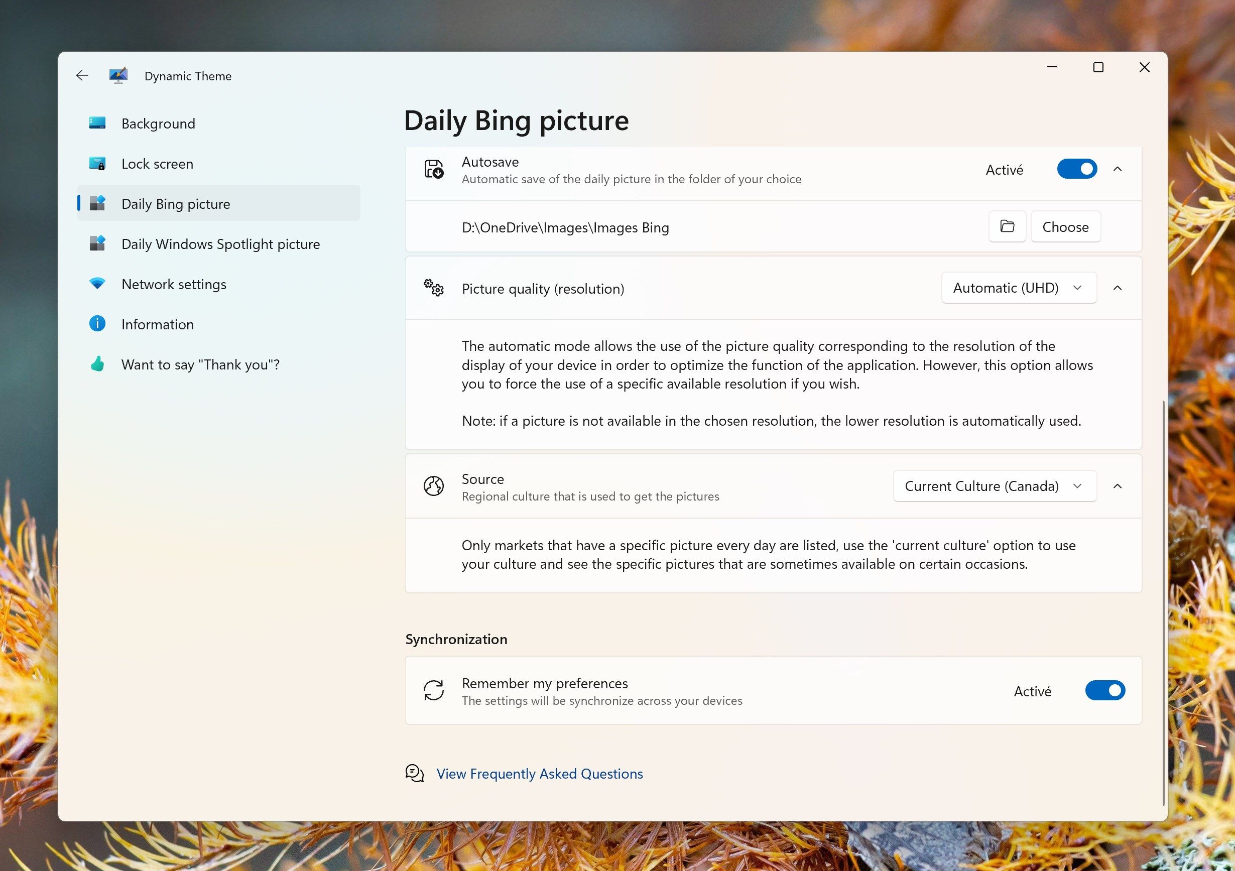 Dynamic Theme