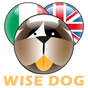 English-Italian Phrase Book