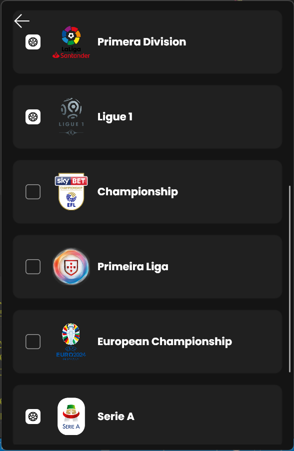 Match options for the First Division, Ligue 1, Championship, Primeira Liga, Eurocup, Serie A
