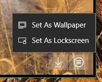 Set as wallpaper or lockscreen
