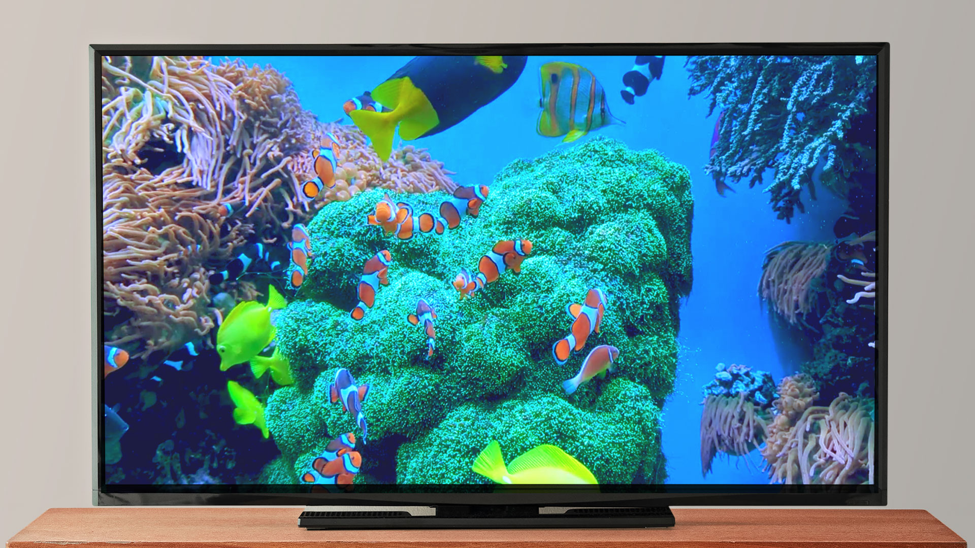 Amazing Aquariums In HD: Aquarium 4K VIDEO - Beautiful Coral Reef Fish - Relaxing Sleep Meditation Music Screensaver For Tablets And Fire TV - NO ADS
