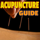Introduction Acupuncture Guide