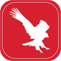 Birding In Southern Africa