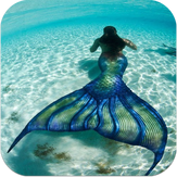 Aquarium N Mermaid Training