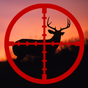 Deer Calls for Hunting & Deer Sounds