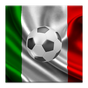2014 Italian Serie A Football