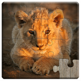 Cute Animal Puzzles for Kids - Fun and Educational Jigsaw Puzzle Game for Preschool Toddlers, Boys and Girls Ages 1, 2, 3, 4, 5 Years Old - Full Version
