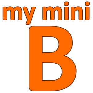 My Mini Browser