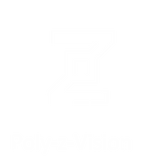 Poly-z-Vision Basic