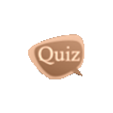 QuizAide CodeGenerator