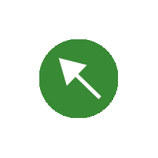 Auto Clicks