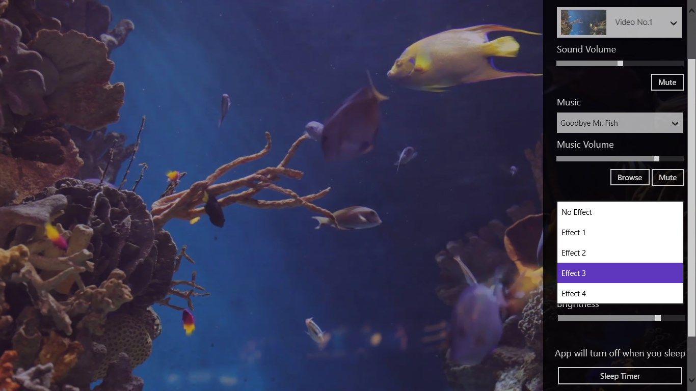 calm Aquarium